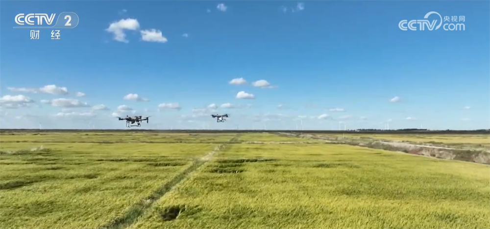 新技术、新模式、新品种……秋日田园满满“科技范儿” 铺展丰收